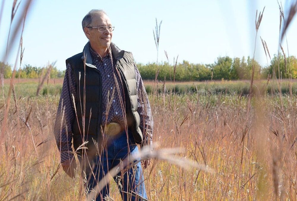 Rick Andrews walks through shoulder-high native prairie grass that he planted in the 1990s.