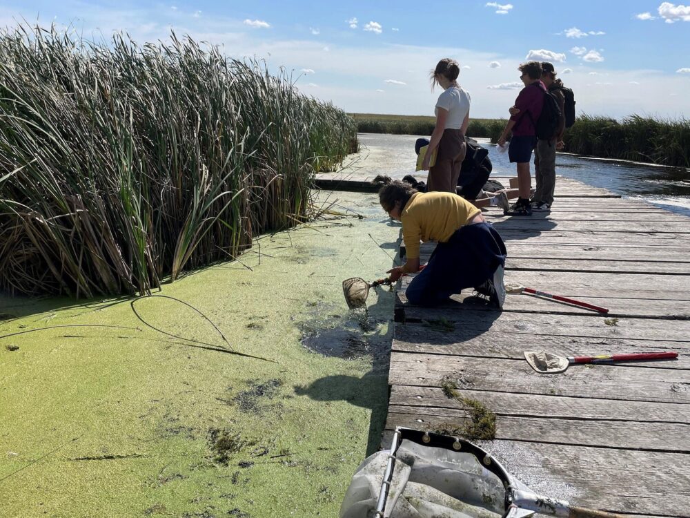 Students from Dr. Martin LeBoldus Catholic High School learn about the importance of wetlands at McKell Wascana Conservation Park.