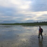 Sturgeon Bank Sediment Enhancement Pilot Project