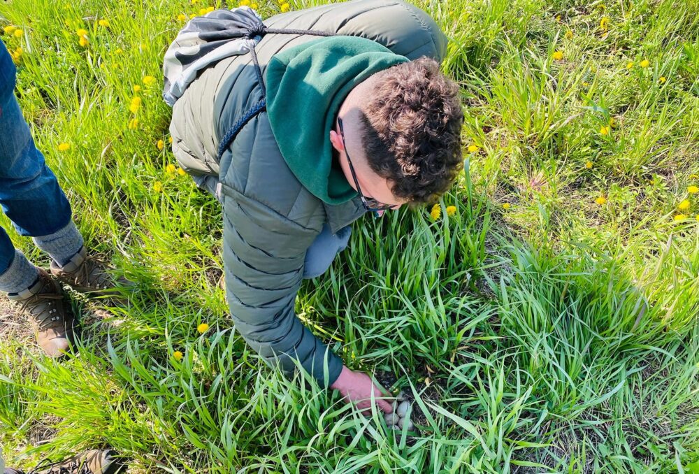 Studying cattle country grasslands.