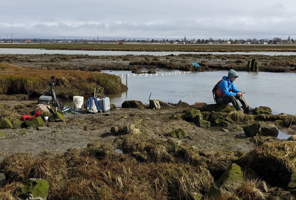 The Fraser River Estuary is recognized as essential habitat for native fish and birds on the Pacific coast of Canada