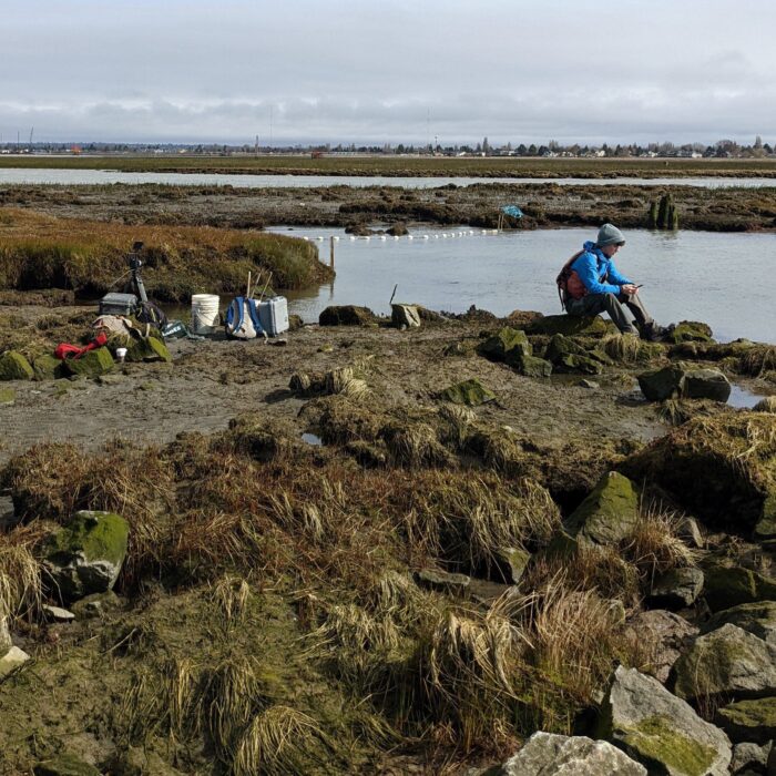 Crew member Jack Hall with beach seine (net) in the water 