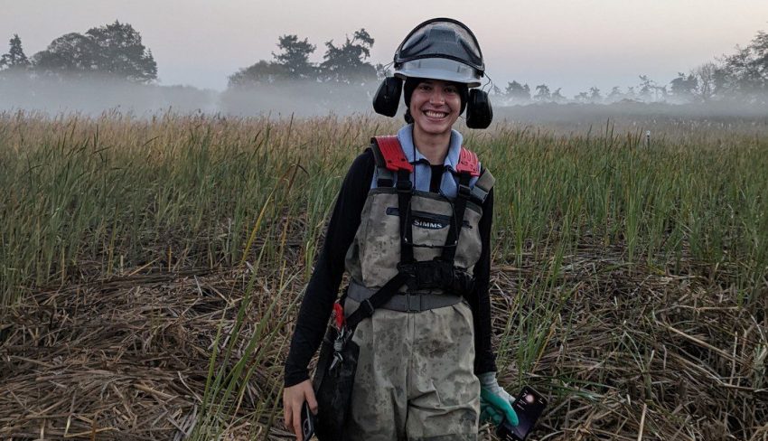 Restoring tidal marsh and migration pathways for wildlife