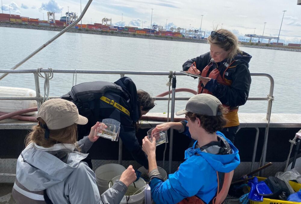 Crew at work identifying and recording fish observations (L-R: Lauren Mitchell, Taylor Marriott, Jack Hall, Paige Roper)