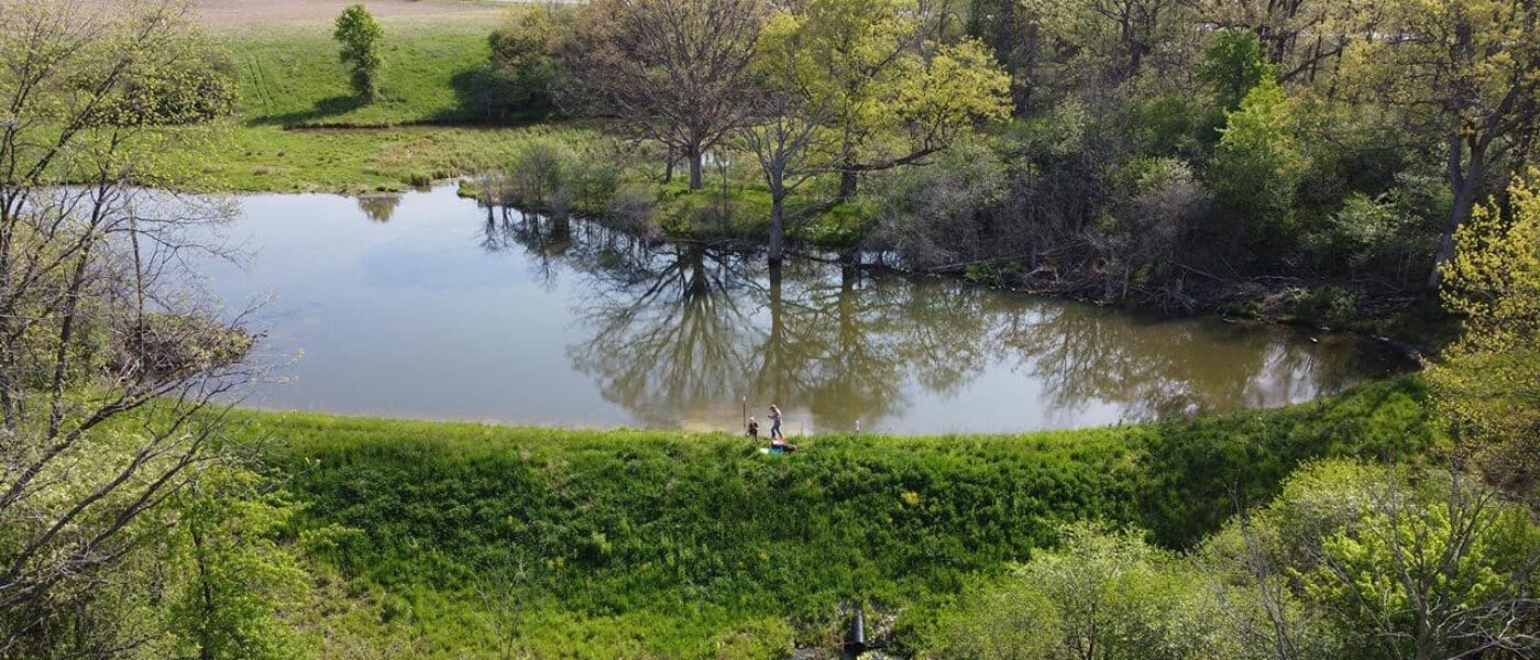 Wetlands help slow runoff, keeping excess phosphorus, nitrogen, and other harmful nutrients from entering lakes and streams.