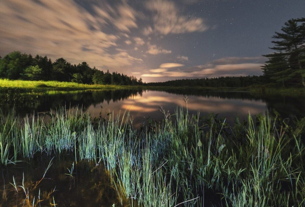 A wetland in Kejimkujik National Park, Nova Scotia. Wetlands in this inland park provide habitat for species at risk like the Blanding’s turtle. Designated by Parks Canada as a dark-sky preserve, stargazers can find rare respite here from the glare of artificial light to enjoy the reflection of the moon and stars in wetland waters.