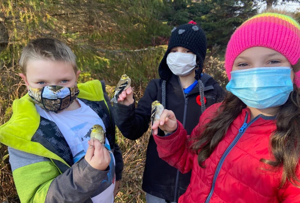 Student volunteers from Kerns Public School helping with songbird banding at the Hilliardton Marsh WCE