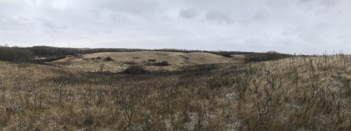 Even in April, the diversity of habitats can be spotted on this hilly Kaytor Conservation Easement (CE).