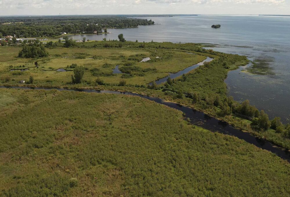 A system of ring dikes and pumps help maintain wetland conditions at the Cooper Marsh Conservation Area.