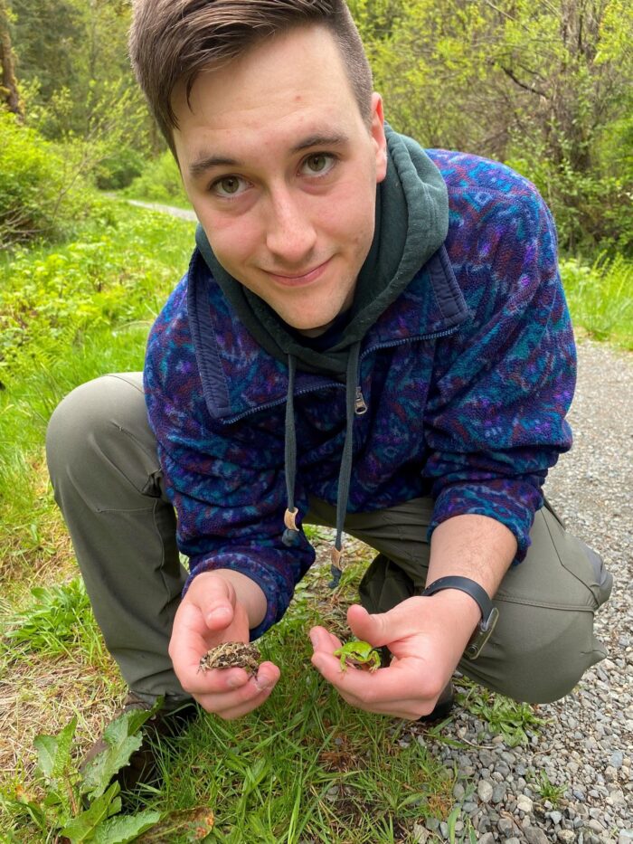 Christiansen holding a Pacific tree frog and western toad. With a soft spot for amphibians and reptiles, Christiansen's master's research will be on eastern red-backed salamanders.