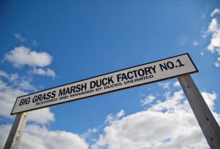 Where it all began:  Big Grass Marsh, Manitoba