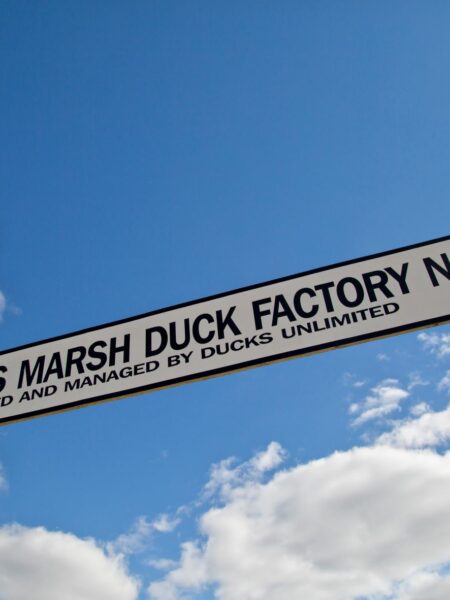 Where it all began:  Big Grass Marsh, Manitoba