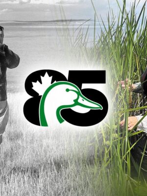 About Ducks Unlimited Canada