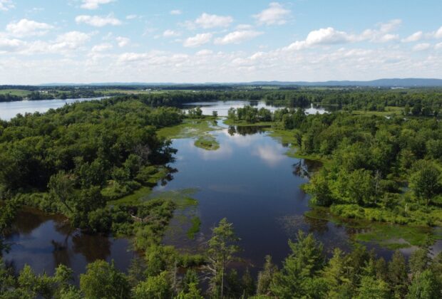 Ducks Unlimited Canada adds more than 80 hectares of protected wetlands in the Outaouais