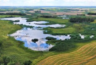 Farmers in Manitoba urged to “make the call” on World Wetlands Day