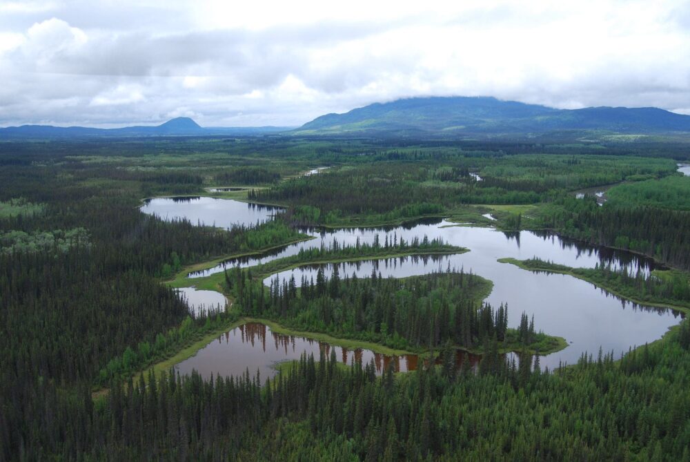 MacMillan River and wetland complex in Yukon; image taken during fieldwork completed by Ducks Unlimited Canada.