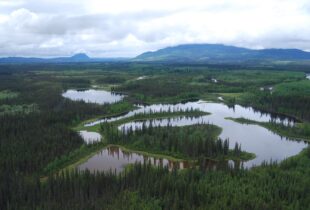 Ducks Unlimited Canada celebrates Government of Yukon’s newly released wetland policy