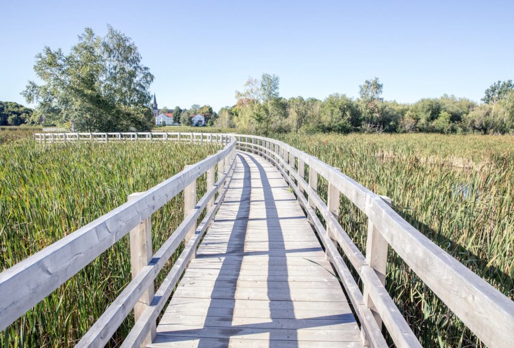 The Bay of Fundy and Its Wetlands (Canada)