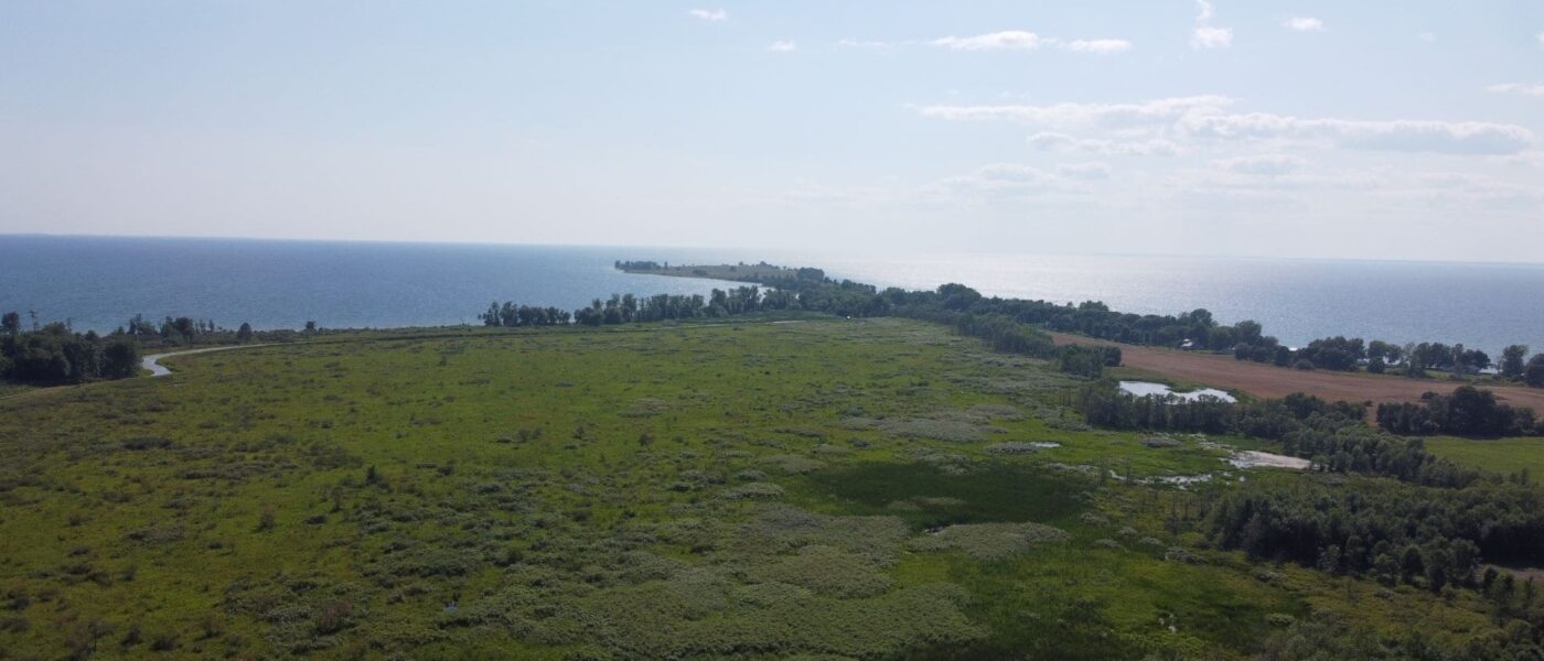 Aerial view of LaSalle Marsh looking out on Lake Ontario (2021)