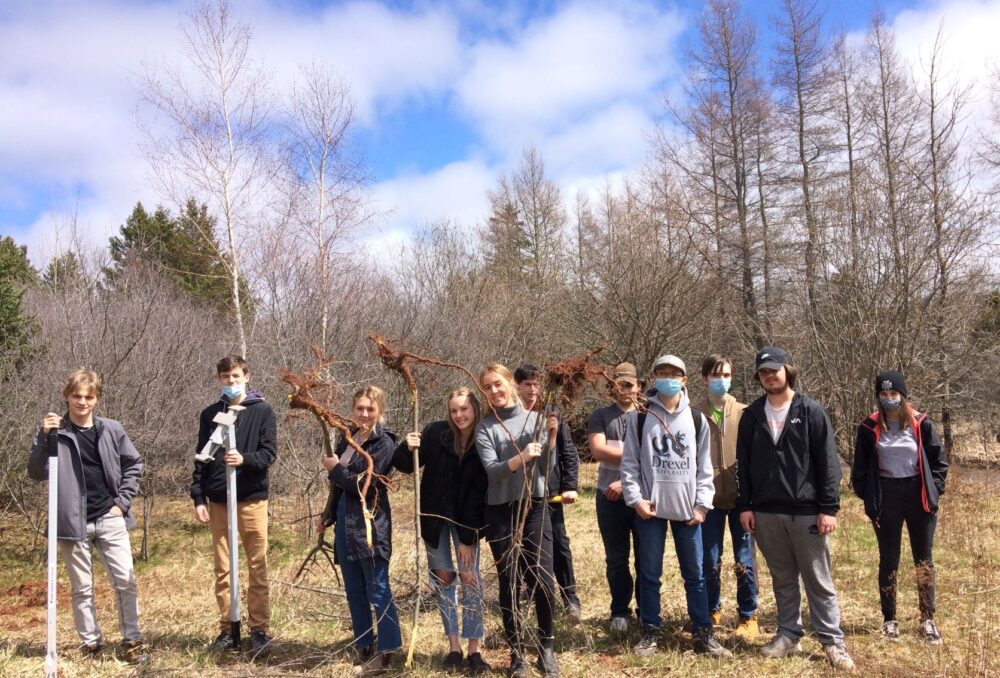 Students with the Charlottetown WCE removing buckthorn near Charlottetown, P.E.I.