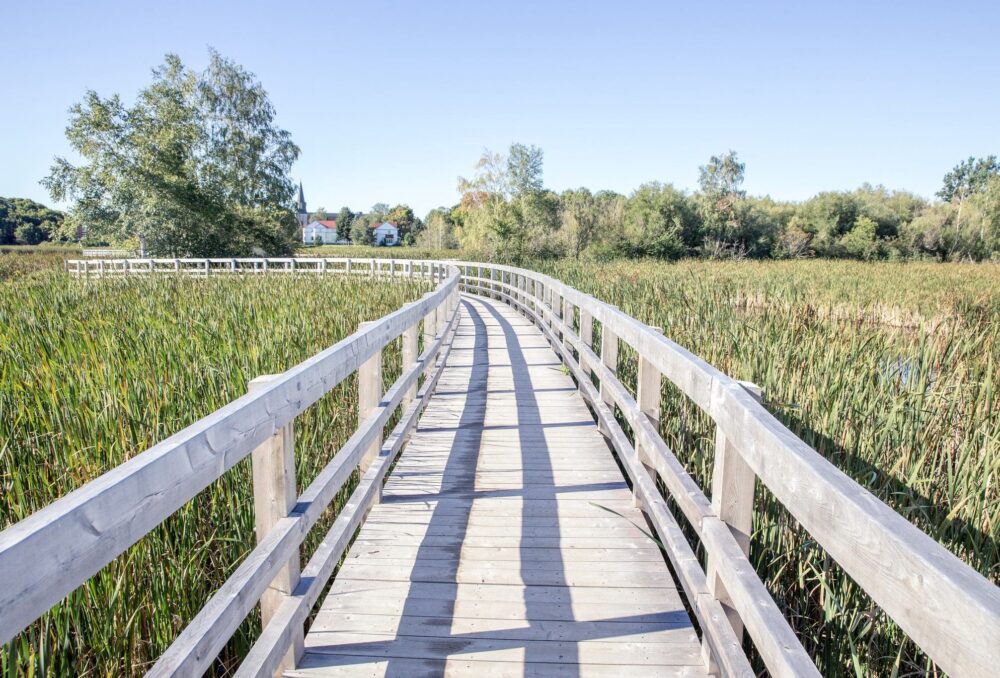 As the continent’s first-ever Wetland City, Sackville is proving wetlands have a place within an urban setting.