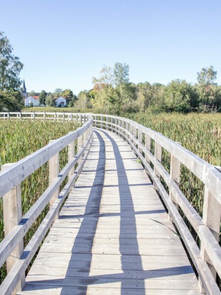 “Wetland Cities” like Sackville are a model for the future