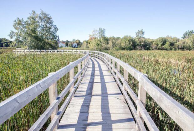 “Wetland Cities” like Sackville are a model for the future