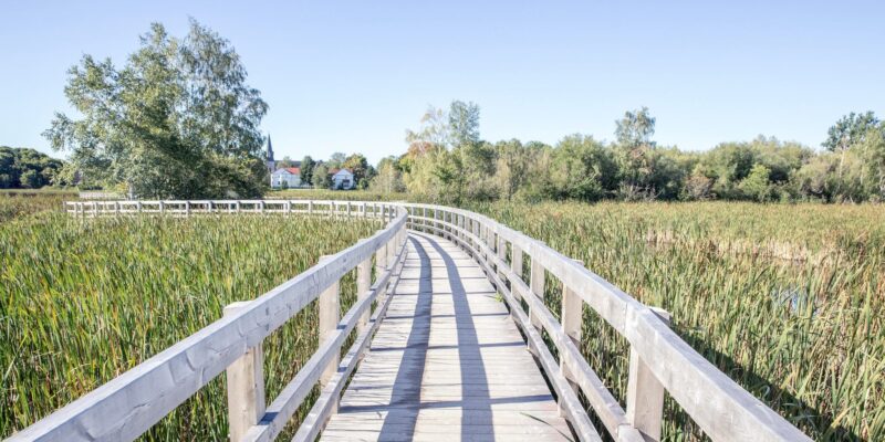 “Wetland Cities” like Sackville are a model for the future