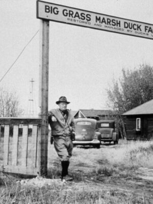 Where it all began: Big Grass Marsh, Manitoba