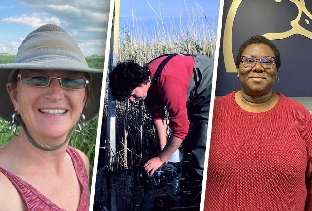 Charlotte Crawley, Lisette Ross and Abosede Adeoye are recognized for their contributions to science, technology, engineering and mathematics (STEM), on the International Day of Women and Girls in Science.