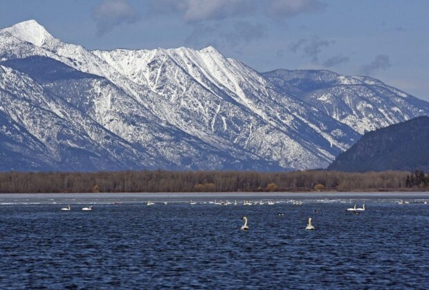 New investments in Watershed Security Fund are a win for British Columbia