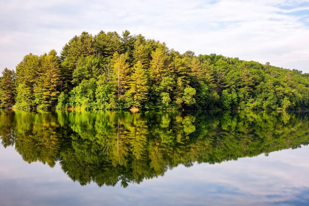 A lake in central Ontario's boreal region