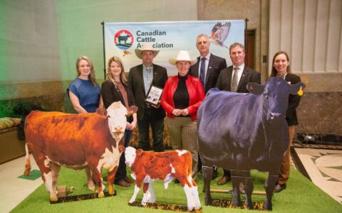 Canadian Roundtable for Sustainable Beef honoured with DUC’s first-ever Conservation Award of Distinction