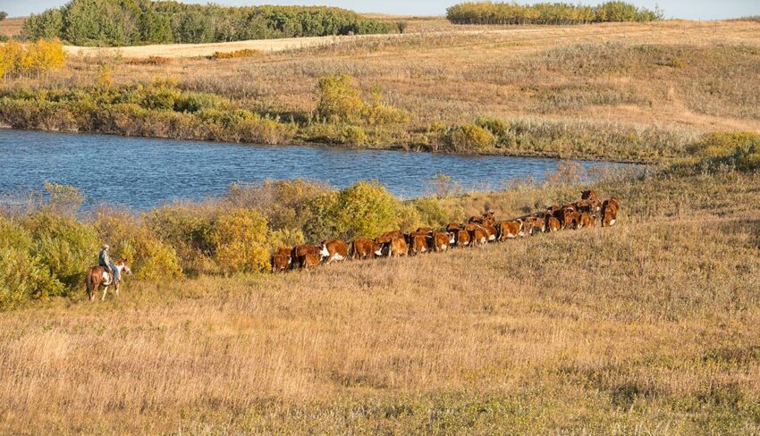 Crops and cattle need safe and reliable water. So do we.