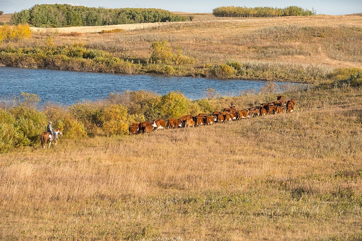 Crops and cattle need safe and reliable water. So do we.
