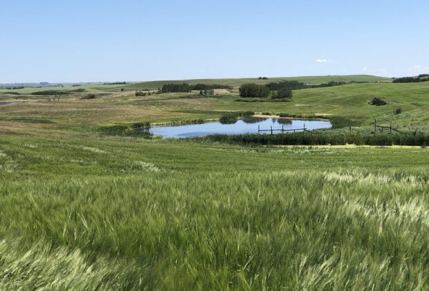 Crops and cattle need safe and reliable water. So do we.