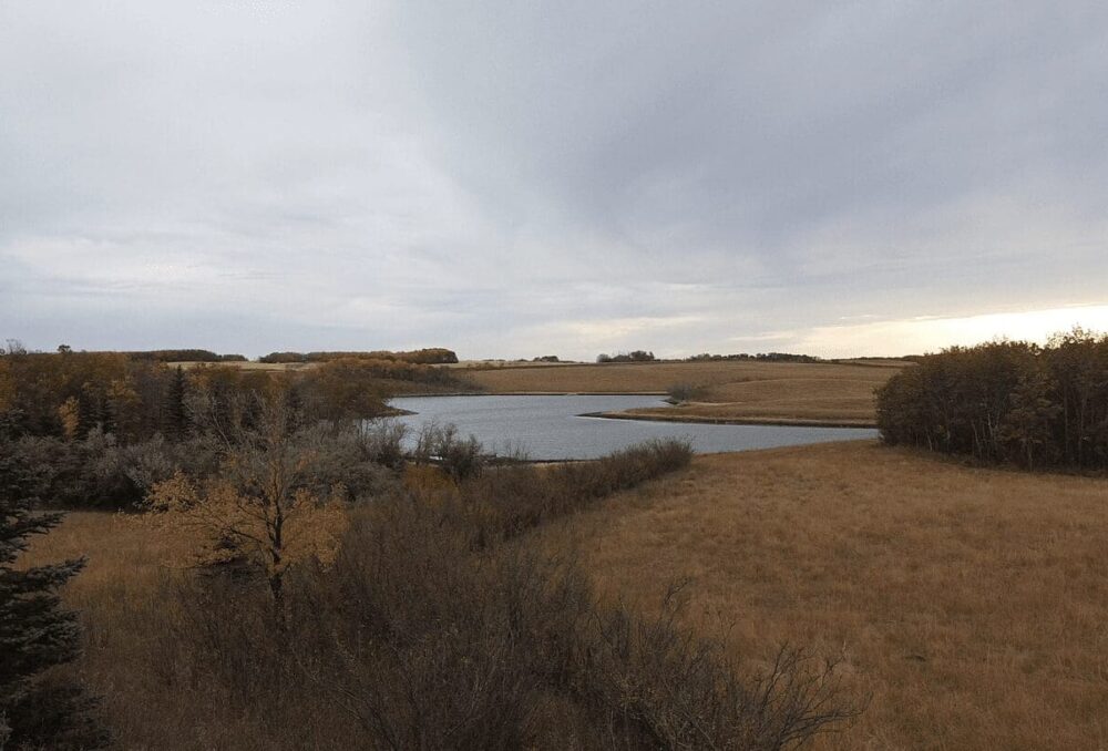 The Wagner CE near Strasbourg, Sask. contains a mix of habitat types of value to wildlife.