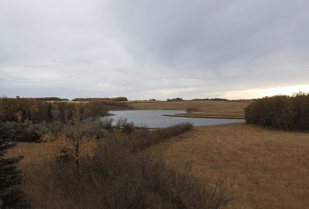 The Wagner CE near Strasbourg, Sask. contains a mix of habitat types of value to wildlife.