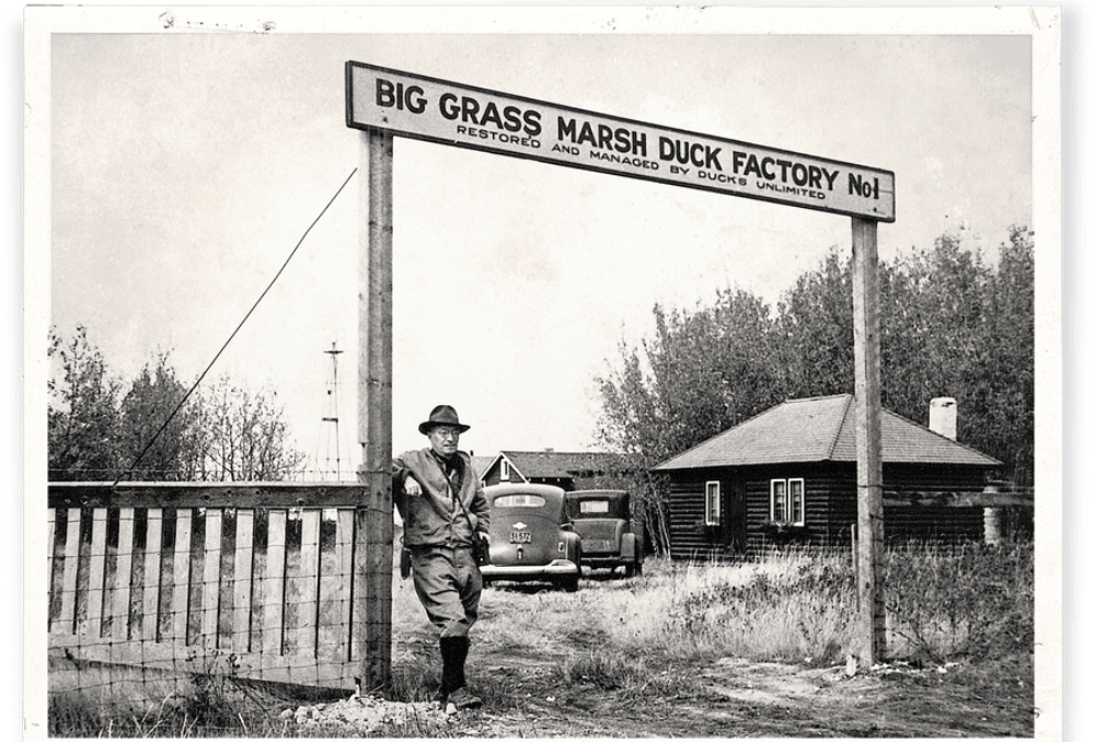 Historic Big Grass Marsh, site of Ducks Unlimited Canada's first project.