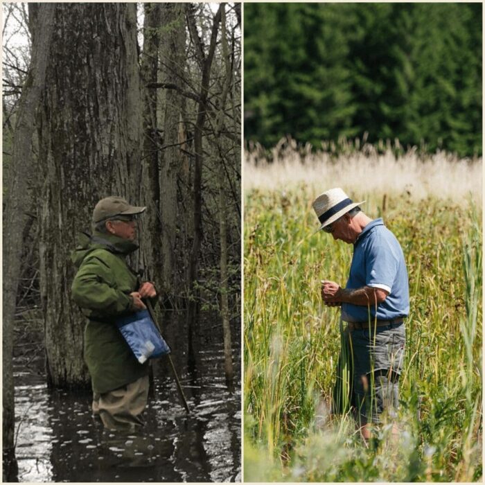 Hip-deep in water or vegetation. Either way, it's all part of the job.