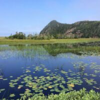 Shallow open-water wetlands