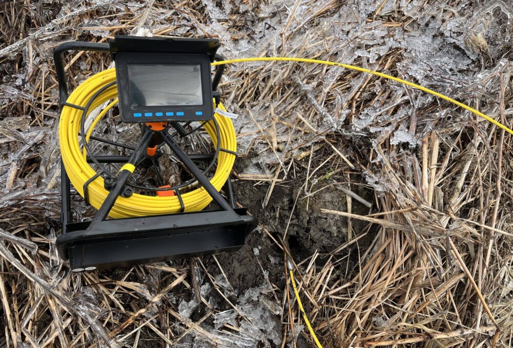 This articulated camera was able to navigate all the twists and turns of the holes to check for hibernating wildlife—especially rare snakes known to be at Big Creek NWA.