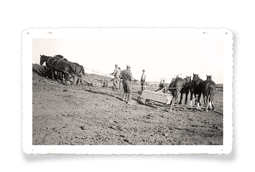 Waterhen Marsh under construction, 1938