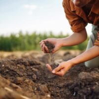 Erosion prevention and promoting soil health
