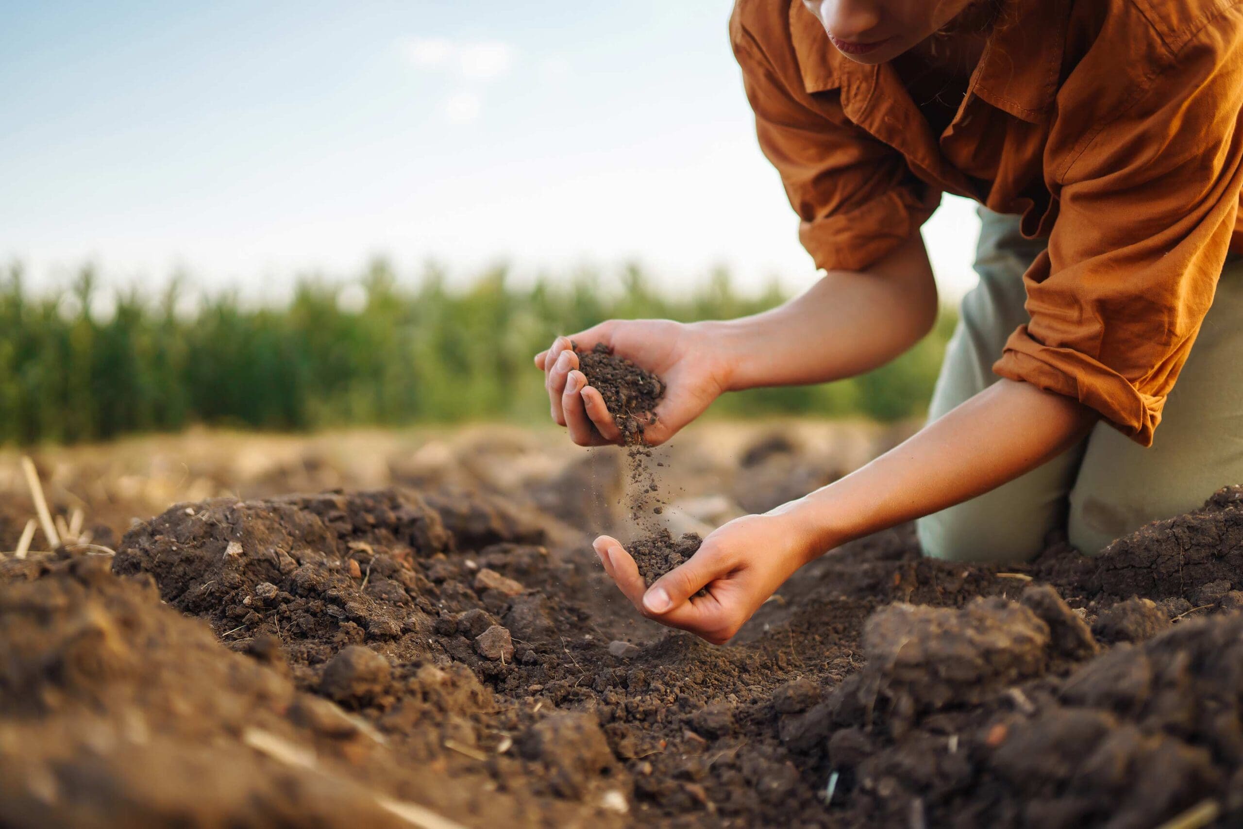 Why is soil important? — Ducks Unlimited Canada