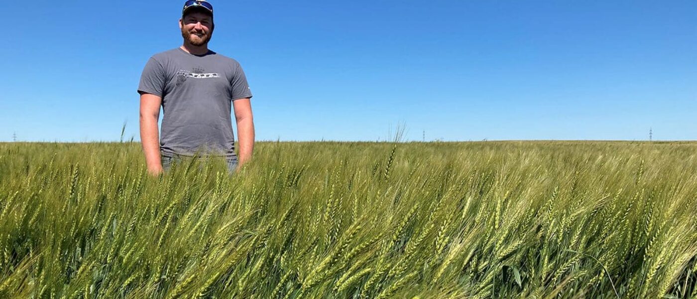 DUC winter wheat specialist Alex Griffiths in the Lapointe winter wheat field near Neepawa in the summer of 2022.