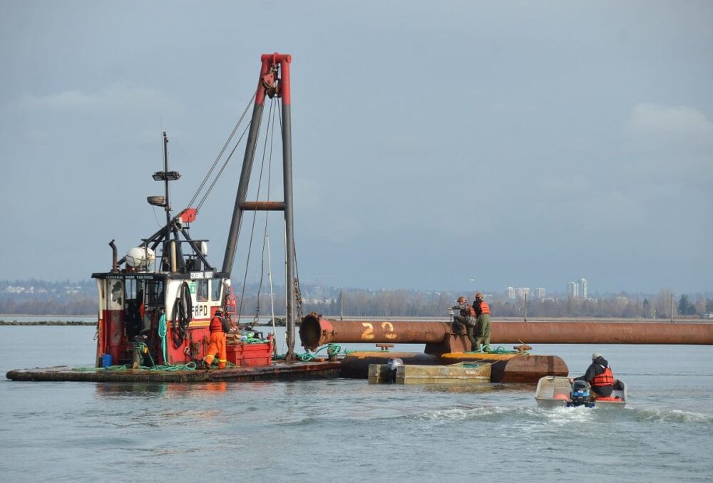 Using a large temporary sediment delivery pipeline, recycled sediment was distributed to key areas on Sturgeon Bank. 