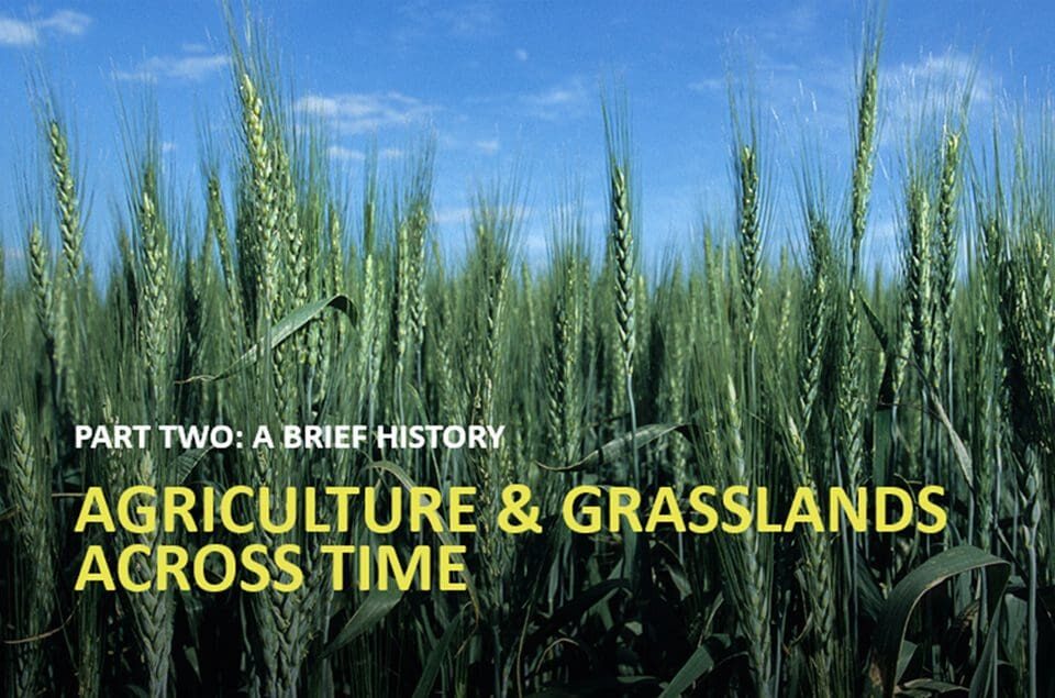 Learn about agriculture and grasslands