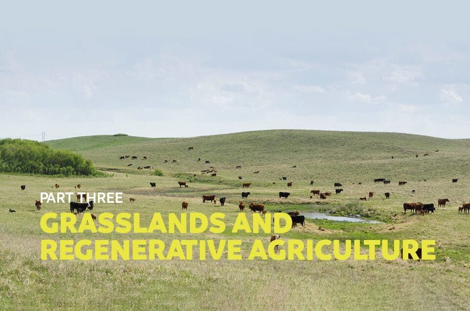 Learn about regenerative agriculture