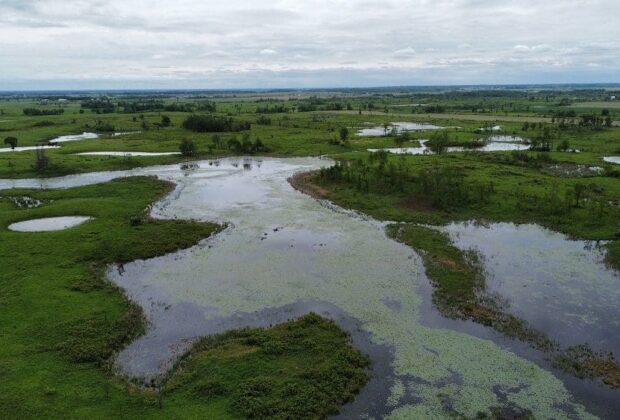 Atocas Bay: A gift of nature that’s for the birds and more